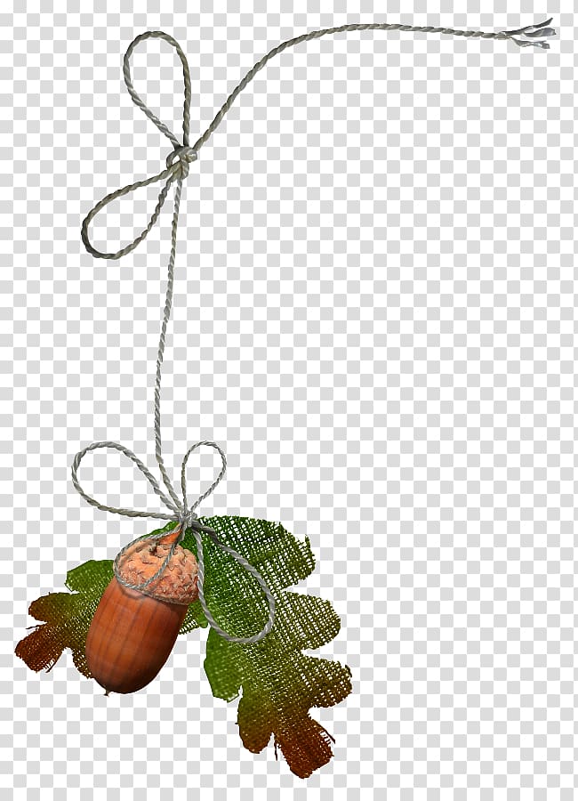 Leaf , Leaf transparent background PNG clipart
