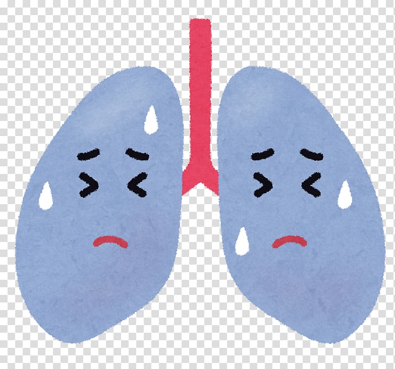 Lung Mycoplasma pneumonia Chronic Obstructive Pulmonary Disease, others transparent background PNG clipart