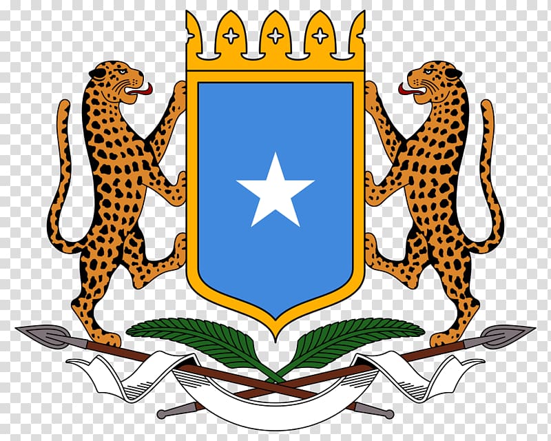 Embassy of Somalia Villa Somalia States and regions of Somalia Federal Government of Somalia Somali Community Association of Ohio, amnesty logo transparent background PNG clipart