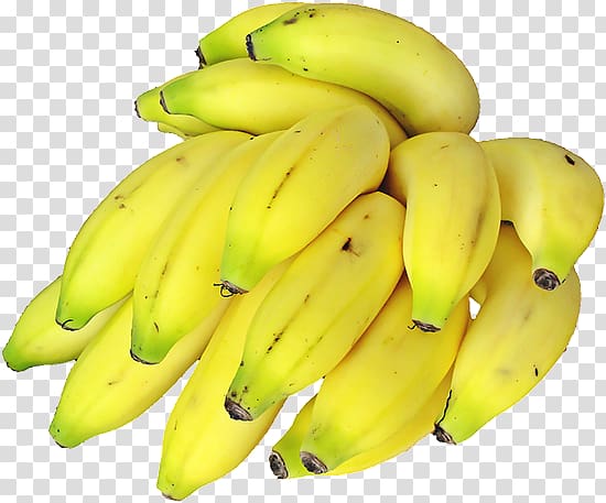 Many bananas PNG picture transparent image download, size: 2517x1767px