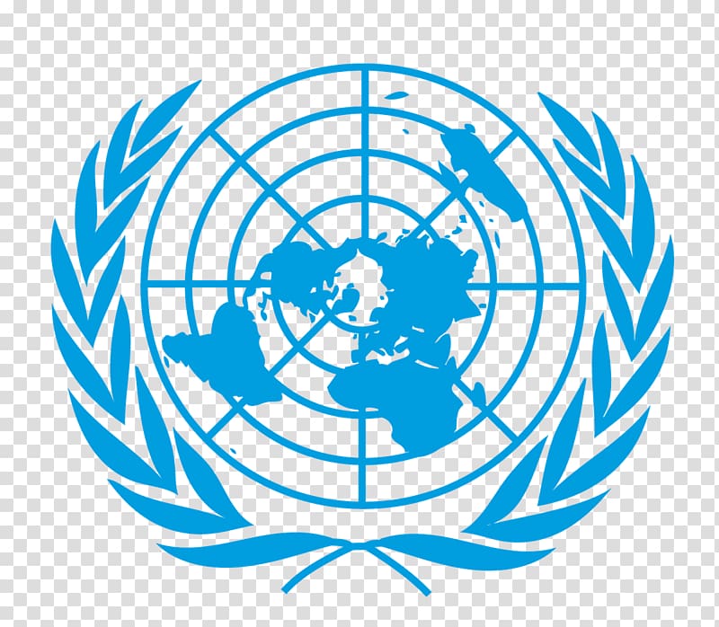 United Nations Office for the Coordination of Humanitarian Affairs United Nations Conference on Trade and Development Management Organization, others transparent background PNG clipart