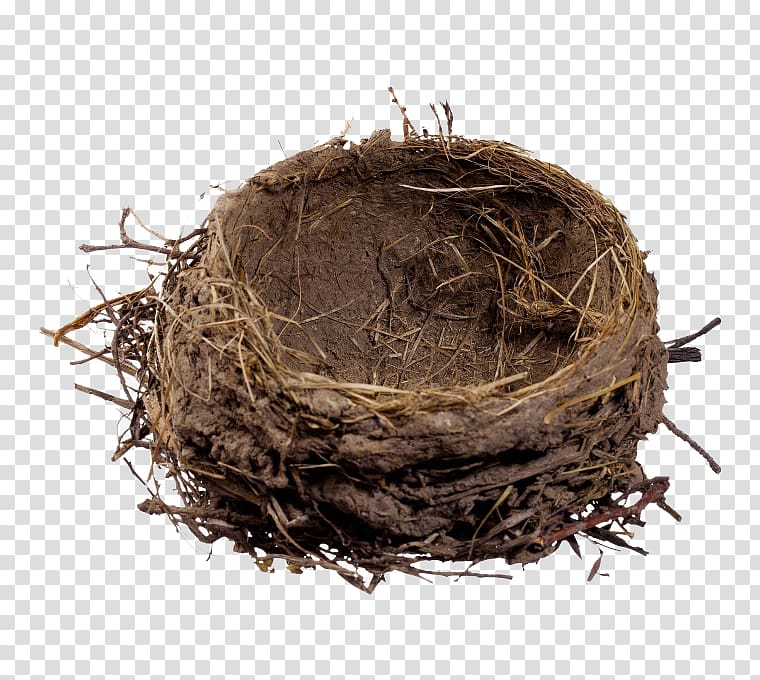 brown bird nest , Bird nest , A nest transparent background PNG clipart