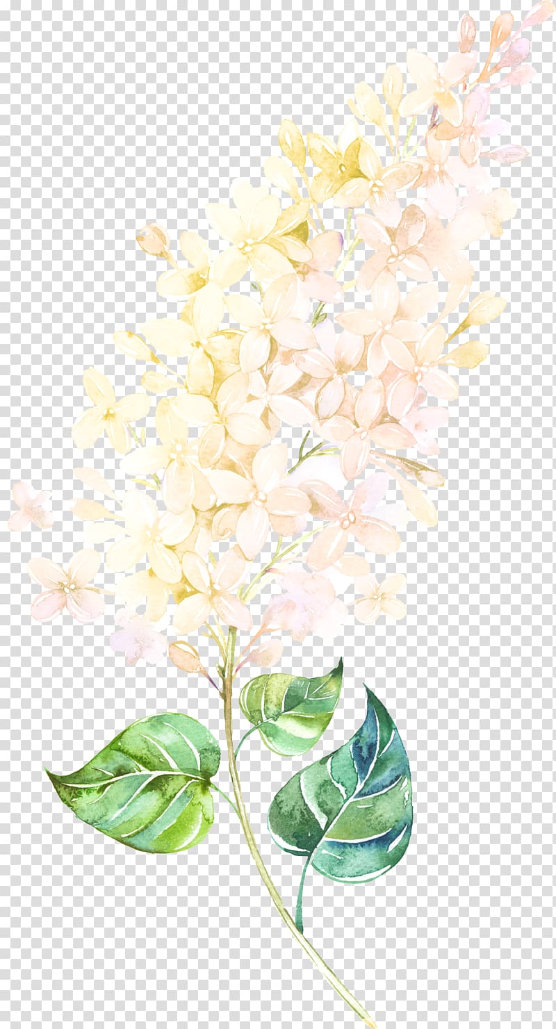 yellow lilacs , Floral design Petal Watercolor painting Lilac, Floating Flower transparent background PNG clipart