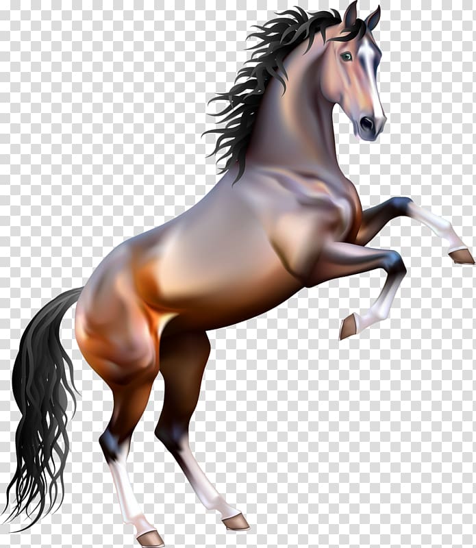 Mustang Rearing Arabian horse , mustang transparent background PNG clipart