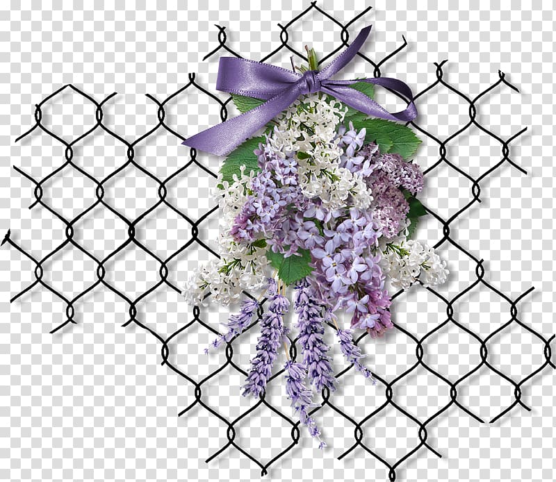 Chinese wisteria Purple Floral design , purple transparent background PNG clipart
