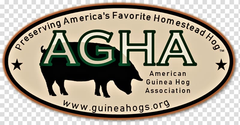 Guinea hog Pig Breed Animal, pig transparent background PNG clipart