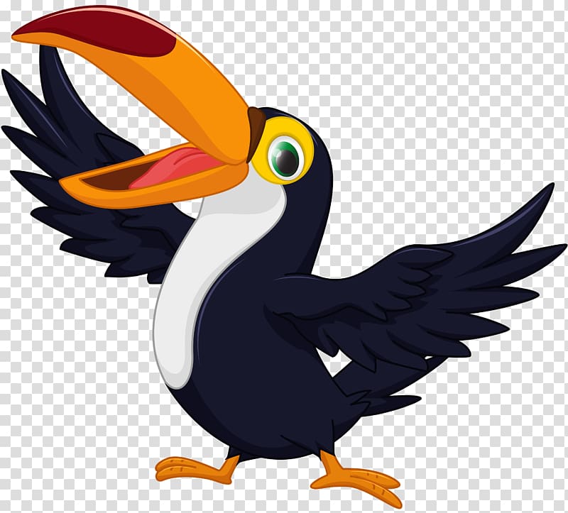 Toucan graphics Drawing, baby pigeon transparent background PNG clipart