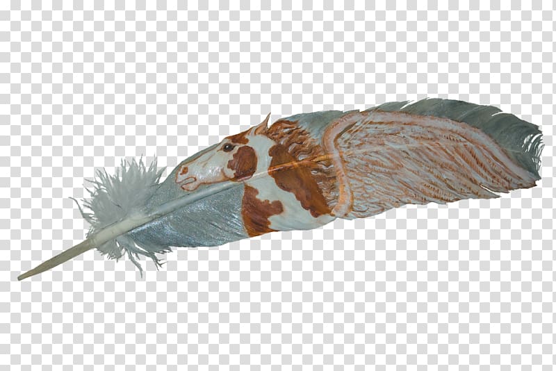 Eagle feather law Owl Adobe shop Portable Network Graphics, feather transparent background PNG clipart