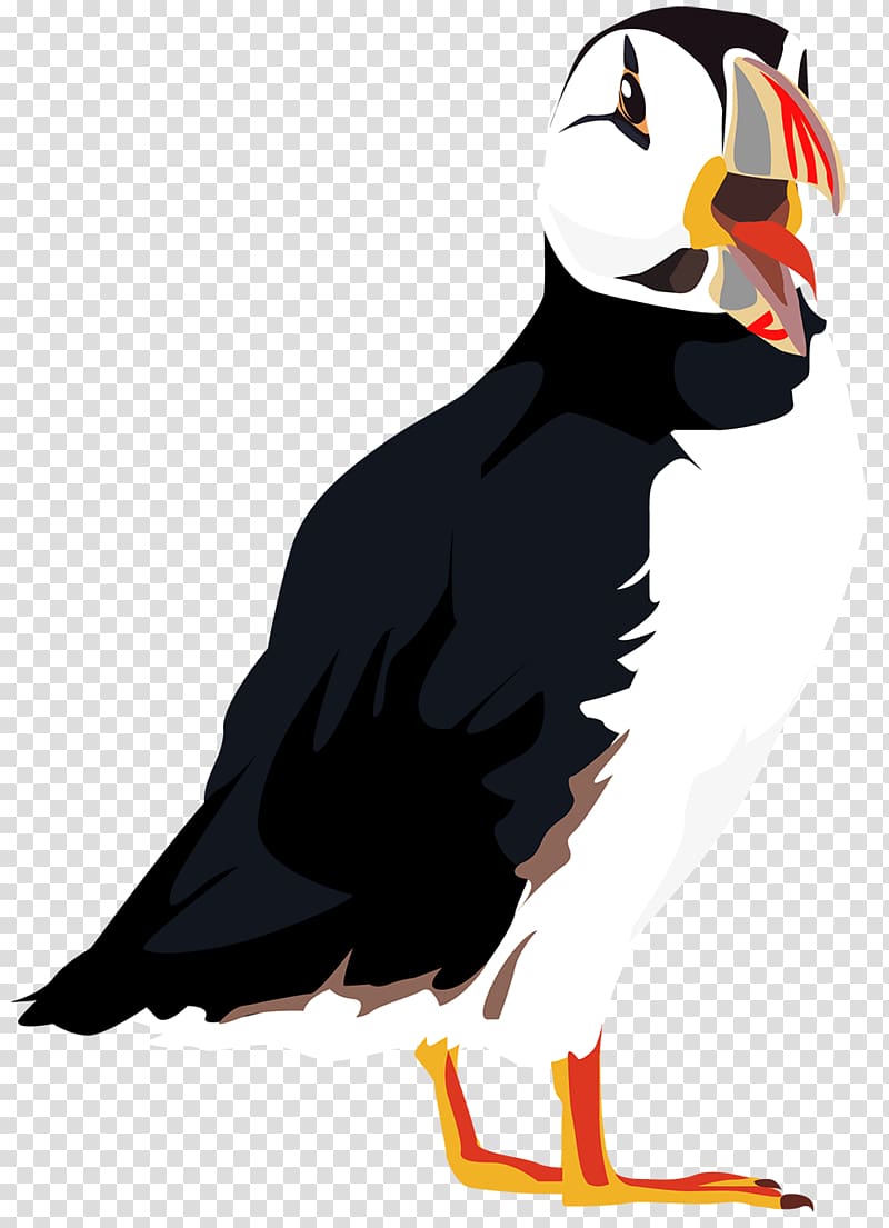 Puffin Bird Beak Character, bird transparent background PNG clipart