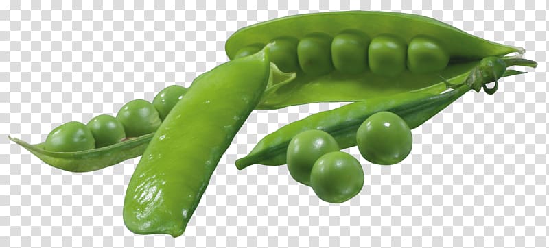 green peas, Pea , Pea Pods transparent background PNG clipart