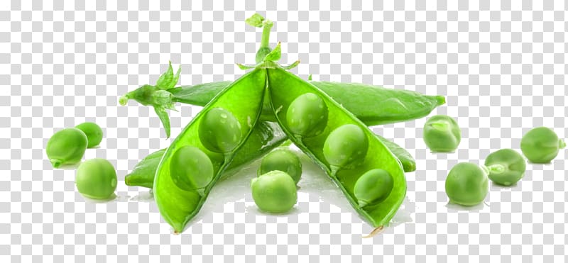 Pea soup Vegetable , Green pea pods transparent background PNG clipart