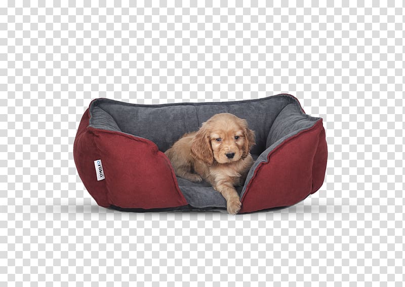 Bean Bag Chairs Dog breed Bed Pillow, Dog transparent background PNG clipart
