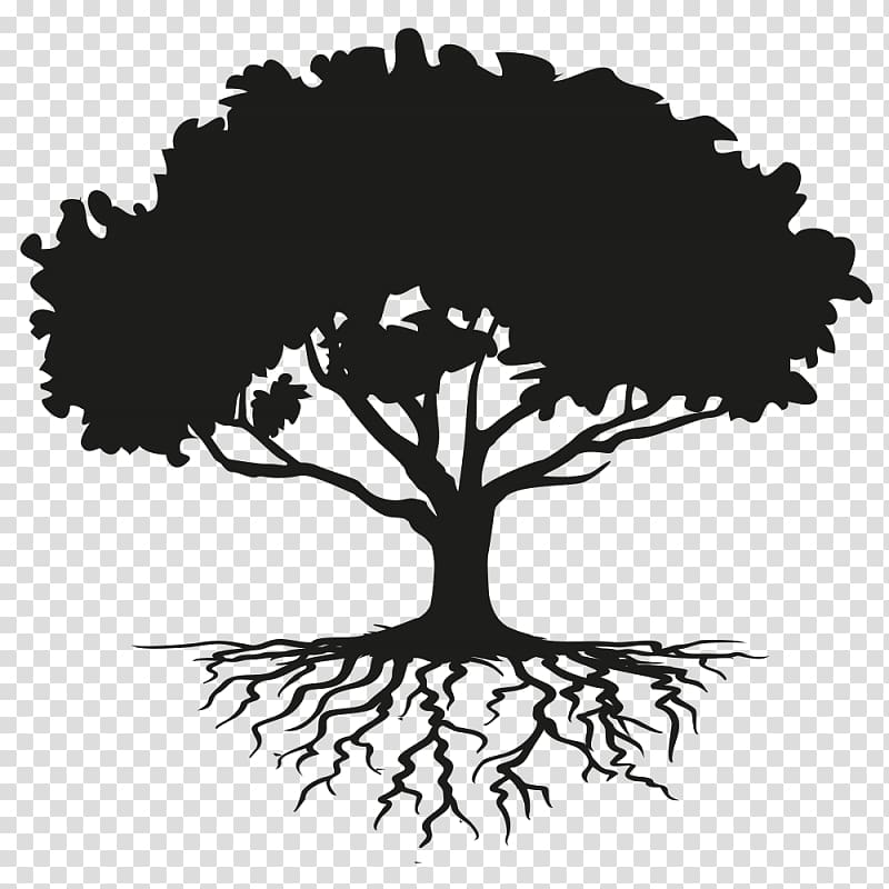 Tree Drawing Root , zen tree transparent background PNG clipart