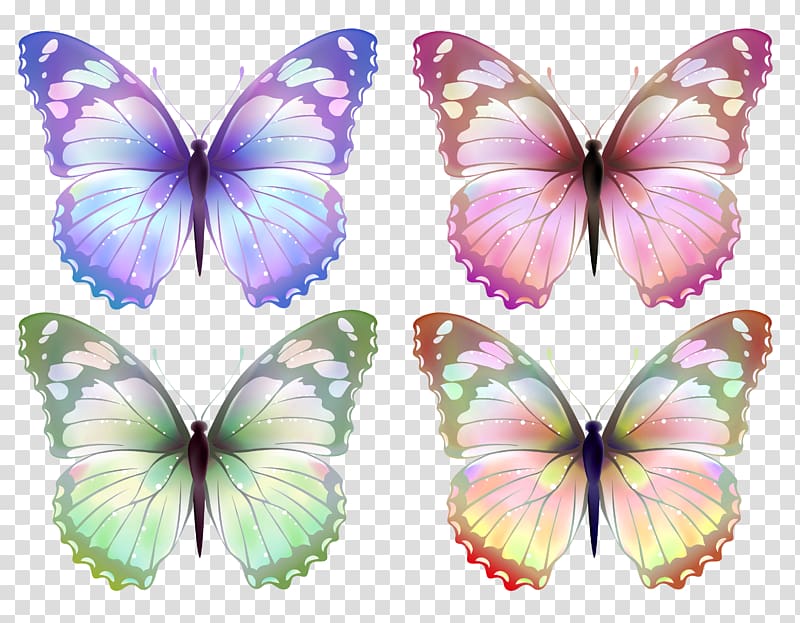 Butterfly , Butterfly , four assorted-color butterflies illustration transparent background PNG clipart