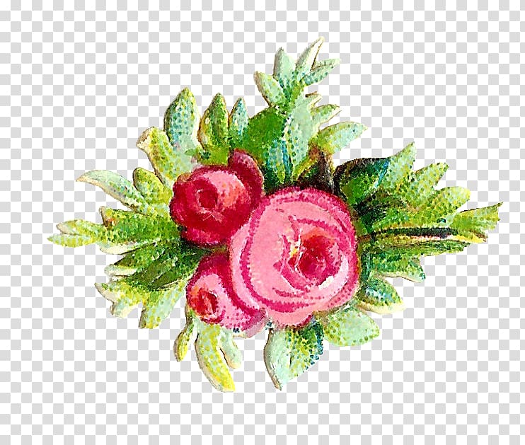 Flower Rose Free , rustic flowers transparent background PNG clipart