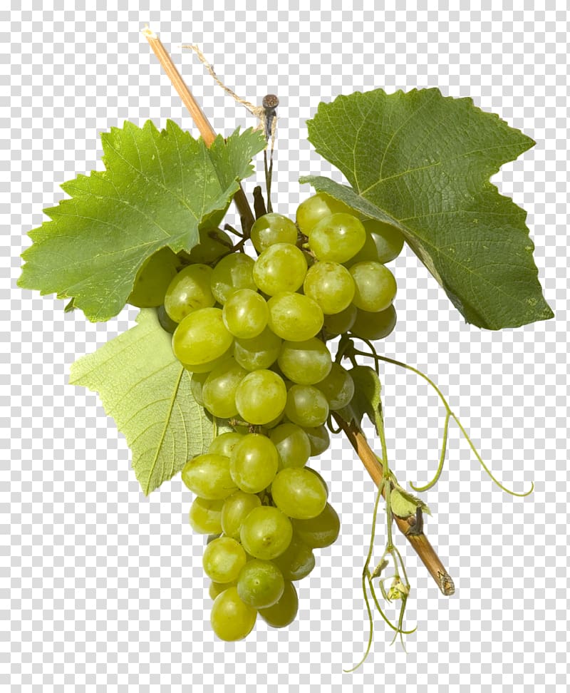 Sultana Grape Grappa Distilled beverage Verjuice, green grapes transparent background PNG clipart