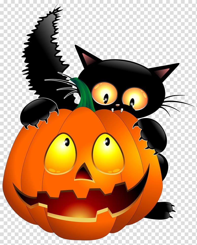 Whiskers Cat Jack-o\'-lantern Halloween , Cat transparent background PNG clipart