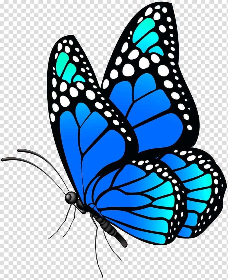 Monarch butterfly Menelaus blue morpho , butterfly transparent ...