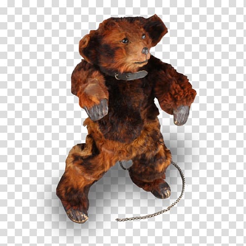 Teddy bear Dog Canidae Mammal, bear transparent background PNG clipart