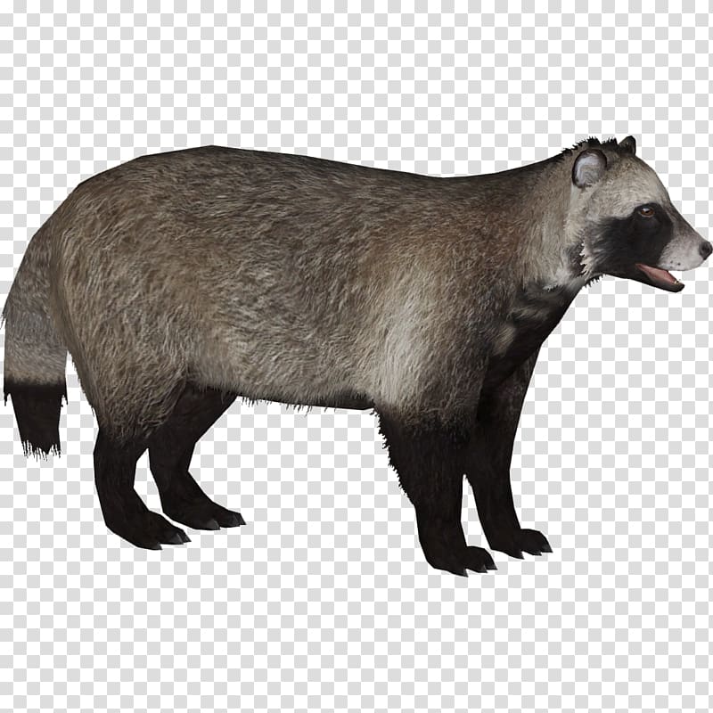 Badger Japanese raccoon dog Canidae Fur, raccoon transparent background PNG clipart