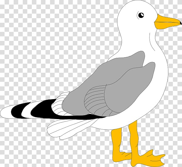 Gulls Free content , Sea Bird Outline transparent background PNG clipart