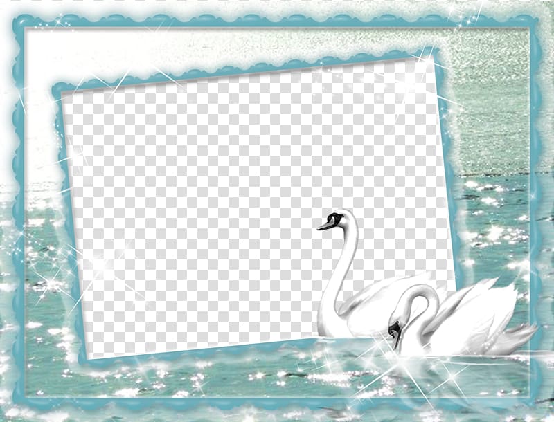 Cygnini Frames, swan transparent background PNG clipart
