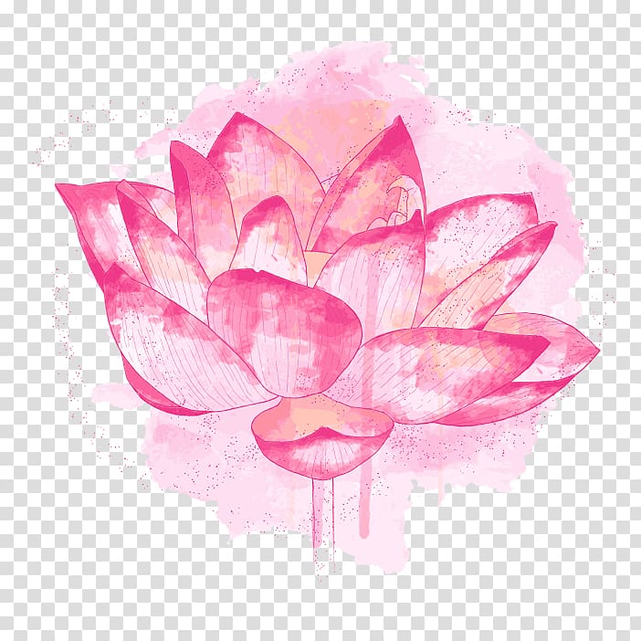 Nelumbo nucifera Plant symbolism Flower Meaning, symbol transparent background PNG clipart