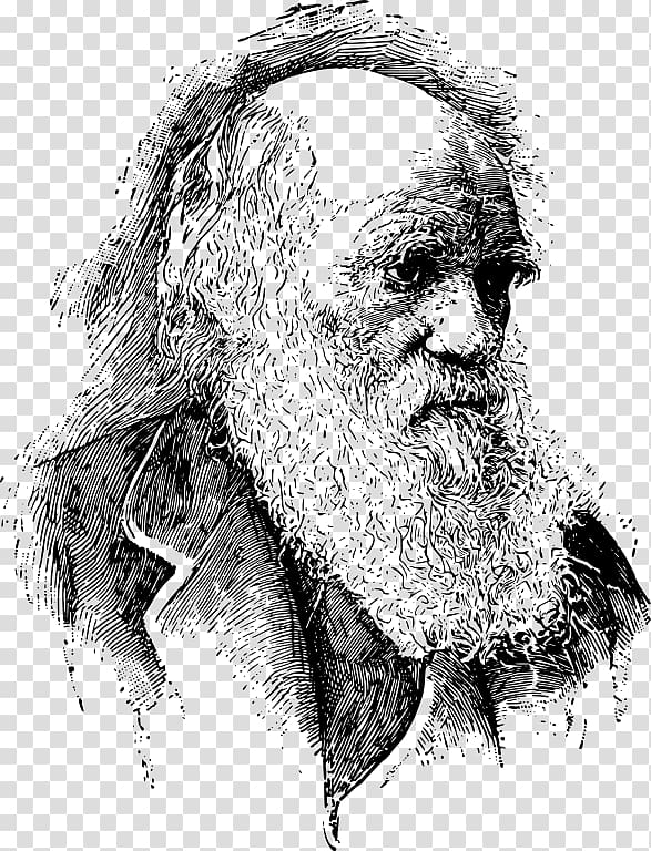 On the Origin of Species Evolutionary medicine Evolutionary psychology Darwinism, Charles Darwin transparent background PNG clipart