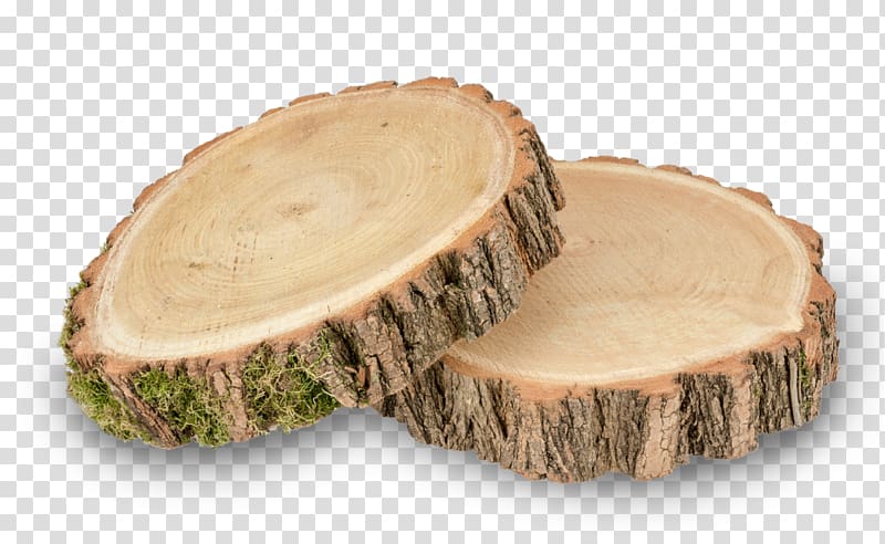 Wood Baumscheibe Tree Table Wattles, wood transparent background PNG clipart