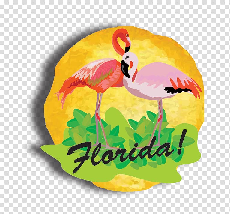 Florida Beak, mangrove swamp transparent background PNG clipart