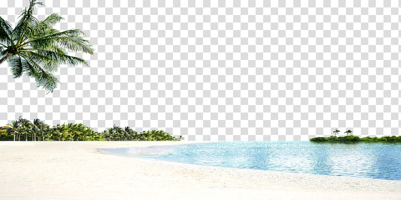 Arecaceae Tree Sea Beach, The sea transparent background PNG clipart