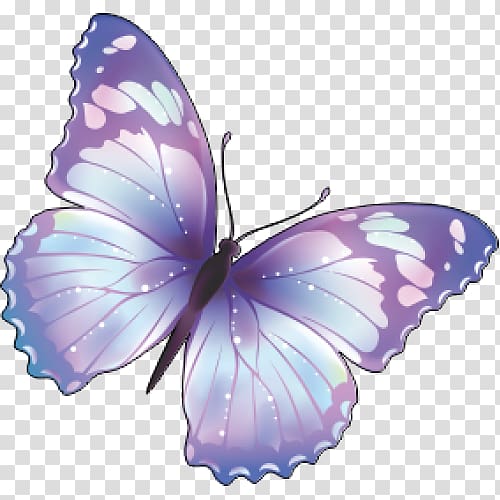 Butterfly Computer Icons , butterfly transparent background PNG clipart