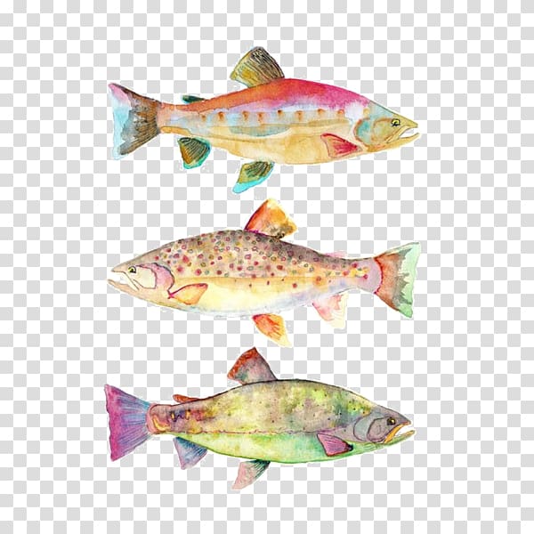 Watercolor painting Art Koi Fish, painting transparent background PNG clipart