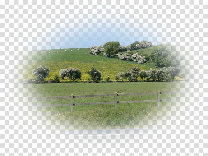 Landscape Land lot Hill station Grassland Real property, others transparent background PNG clipart