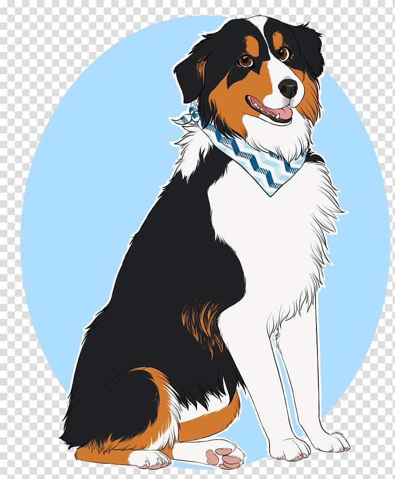 Dog breed Australian Shepherd Bernese Mountain Dog Puppy Companion dog, puppy transparent background PNG clipart