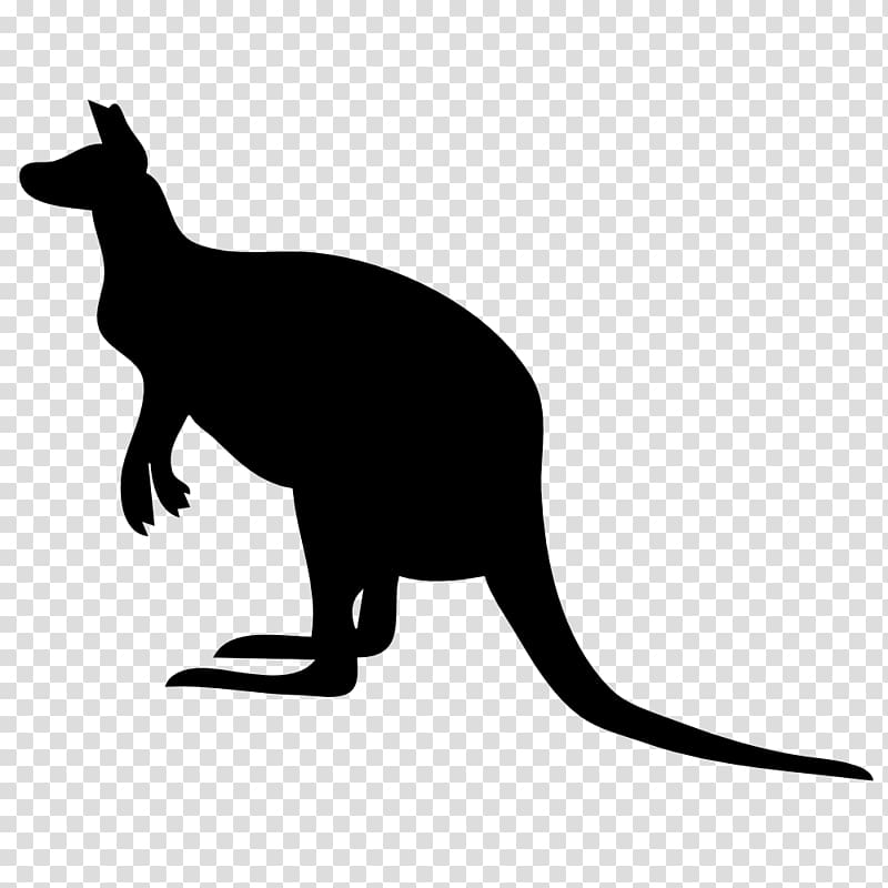 Kangaroo , Baby Kangaroo transparent background PNG clipart