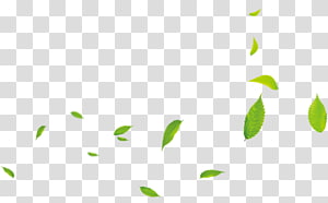 Leaf Petal Light, Leaf transparent background PNG clipart thumbnail