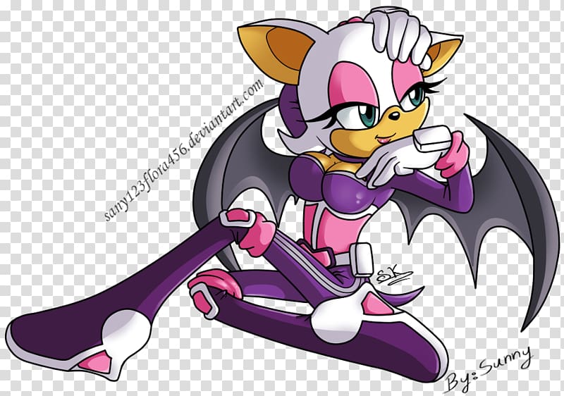 Sonic Heroes Rouge the Bat Blaze the Cat Marine the Raccoon, hero transparent background PNG clipart