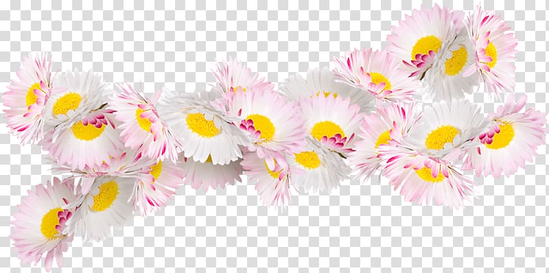 Flower Painting Floral design Rose Ornament, Pink chamomile transparent background PNG clipart