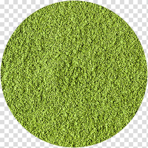 Sod Scutch grass Heat transfer vinyl Lawn Agrostis stolonifera, Matcha Tea transparent background PNG clipart