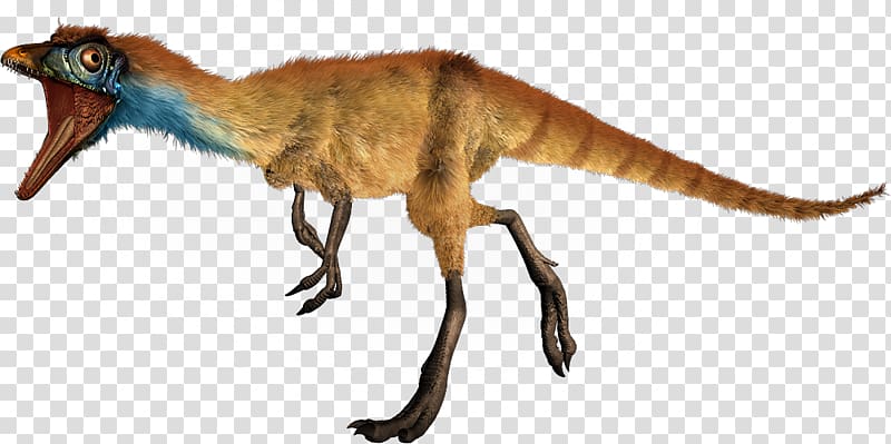 Compsognathus Dinosaur size Ceratosaurus Diplodocus Microraptor, dinosaur transparent background PNG clipart