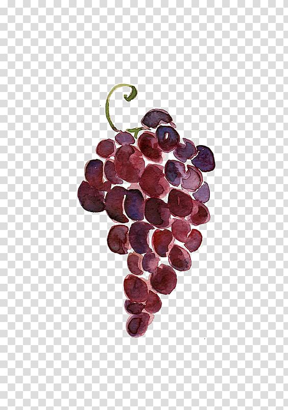 purple grapes illustration, Red Wine Merlot Juice Must, grape transparent background PNG clipart
