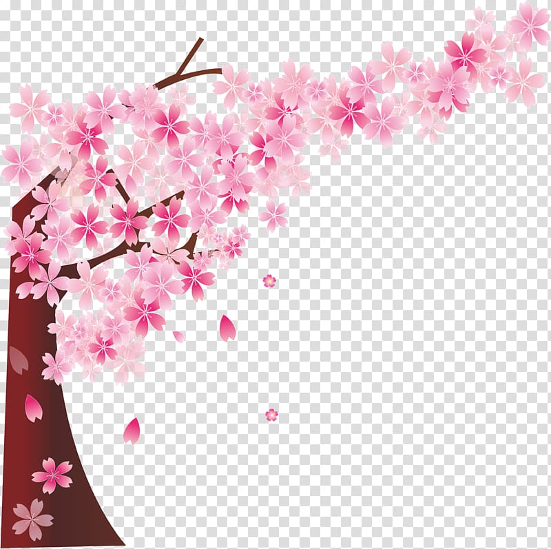 pink flowers illustration, Cherry blossom Cerasus, Pink cherry tree transparent background PNG clipart