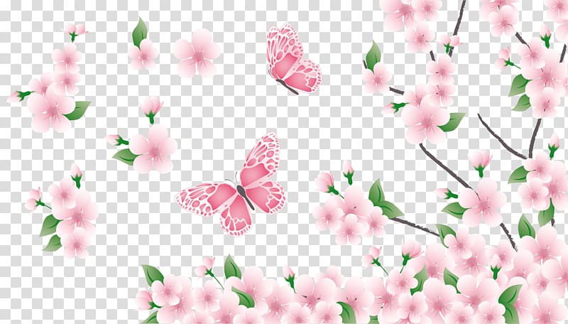 Spring , Flowering Branch transparent background PNG clipart