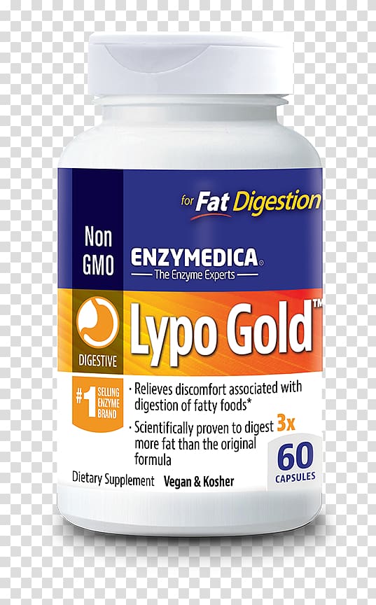 Dietary supplement Digestion Lipase Digestive enzyme, Digestive Enzyme transparent background PNG clipart