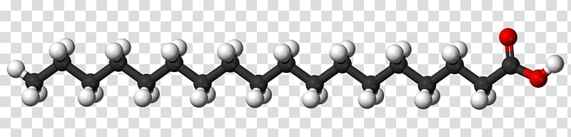 Stearic acid Fatty acid Saturated fat Molecule, others transparent background PNG clipart