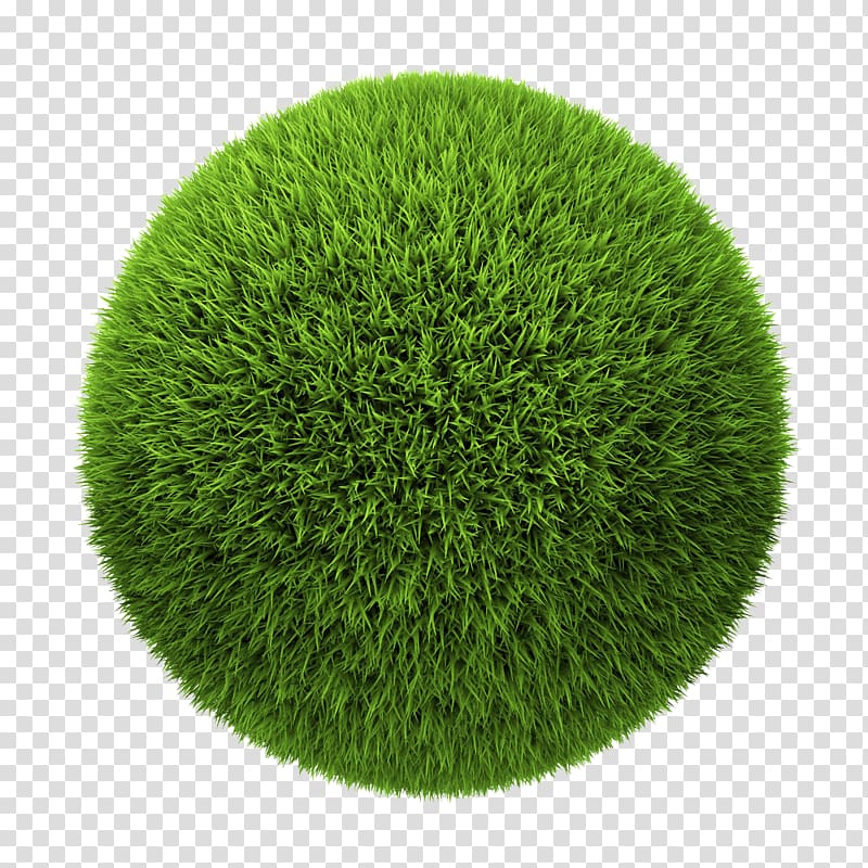 green grass field, Ball Illustration, Round grass transparent background PNG clipart