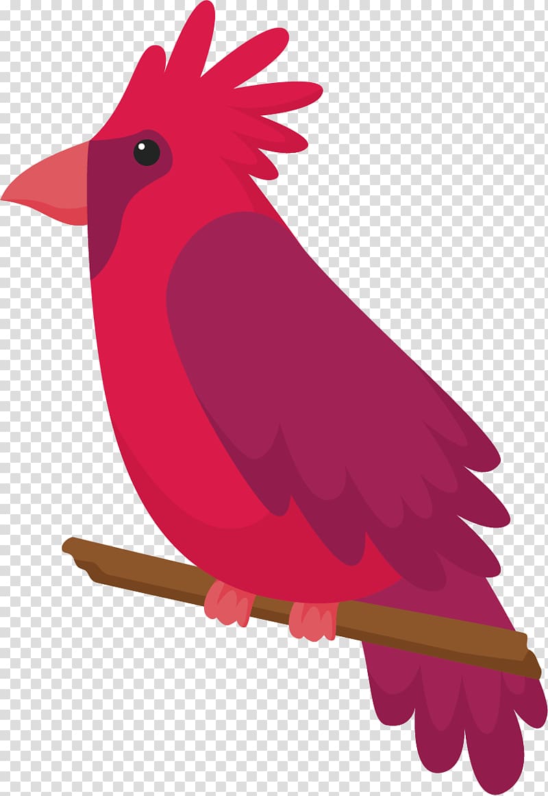 Parrot Bird Illustration, Red crown of the big parrot transparent background PNG clipart