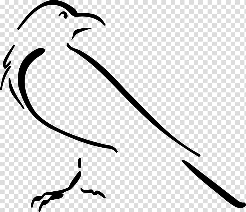 Crow Line art Drawing , crow transparent background PNG clipart