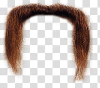 brown hair, Mustache Long transparent background PNG clipart